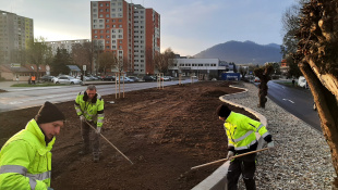 Zelená a modrá infraštruktúra (marec/apríl 2026, 14. týždeň) / Zelená alej