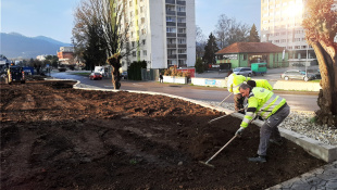 Zelená a modrá infraštruktúra (marec/apríl 2026, 14. týždeň) / Zelená alej
