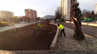 Zelená a modrá infraštruktúra (marec/apríl 2026, 14. týždeň) / Zelená alej