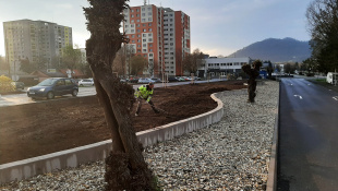 Zelená a modrá infraštruktúra (marec/apríl 2026, 14. týždeň) / Zelená alej