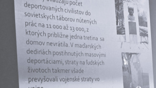 Gulagy alebo "malenkij robot"