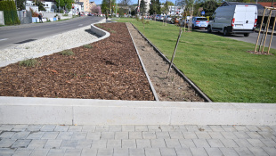 Zelená a modrá infraštruktúra (apríl 2026, 17. týždeň) / Zelená alej