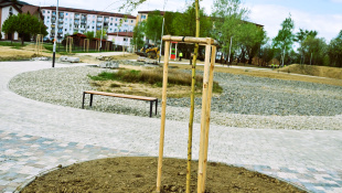 Zelená a modrá infraštruktúra (apríl 2026, 17. týždeň) / Park Sokolej