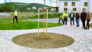 Zelená a modrá infraštruktúra (apríl 2026, 17. týždeň) / Park Sokolej