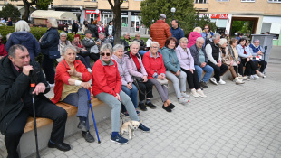 1. máj - krojovaný sprievod, FS Vihorlat