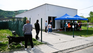 Čipovanie a vakcinácia psov na Podskalke