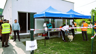 Čipovanie a vakcinácia psov na Podskalke