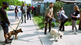 Čipovanie a vakcinácia psov na Podskalke