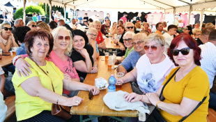 Humenské Švejkove dni 2026