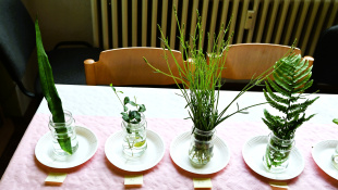 Mladý záhradkár ´26
