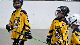TATRAHAUS CUP 2026 / hokejbal