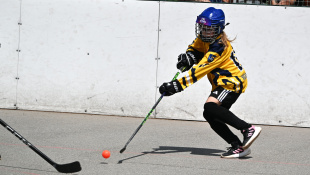 TATRAHAUS CUP 2026 / hokejbal