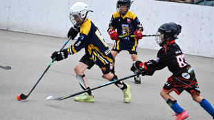 TATRAHAUS CUP 2026 / hokejbal