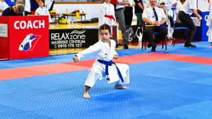 Pohár regionálnych zväzov v karate 2026 / 40 rokov Klubu karate Humenné