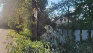 Po sobotňajšej búrke tzv. "čistiaca" nedeľa