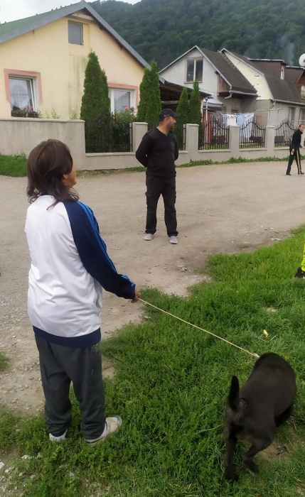 Čipovanie psov na Podskalke