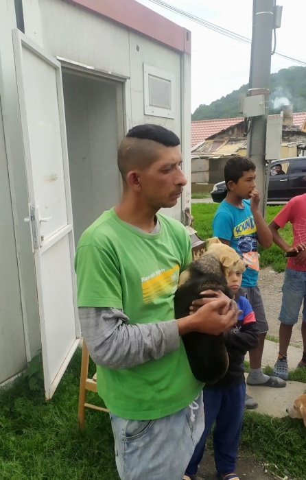 Čipovanie psov na Podskalke
