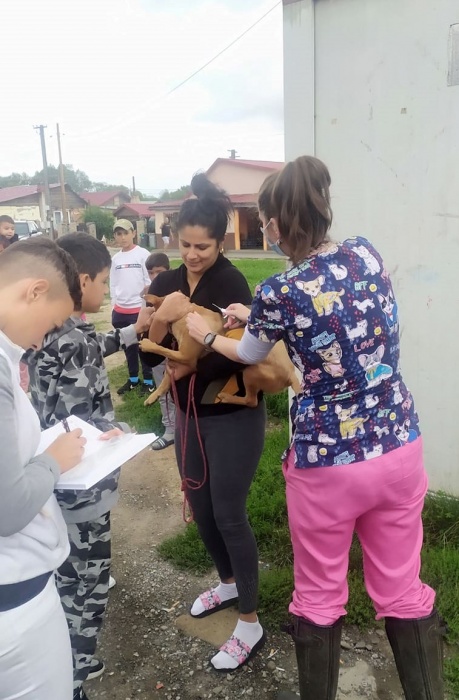 Čipovanie psov na Podskalke