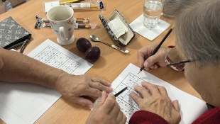 Riešenie logickej hry sudoku.