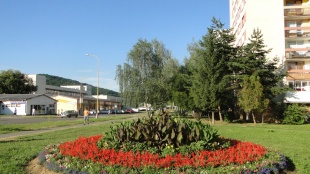 V meste pribudli kvety